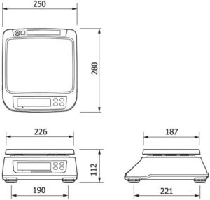 Cas Sw II R Bilgisayar Bağlantılı Tartım Terazisi - Görsel 2