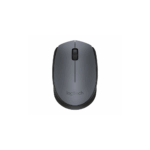 LOGITECH 910-004424, M171 Siyah, USB Nano 2,4G Kablosuz, 1000dpi, Optik, 3 Tuşlu, 12ay Pil Ömrü, Mouse